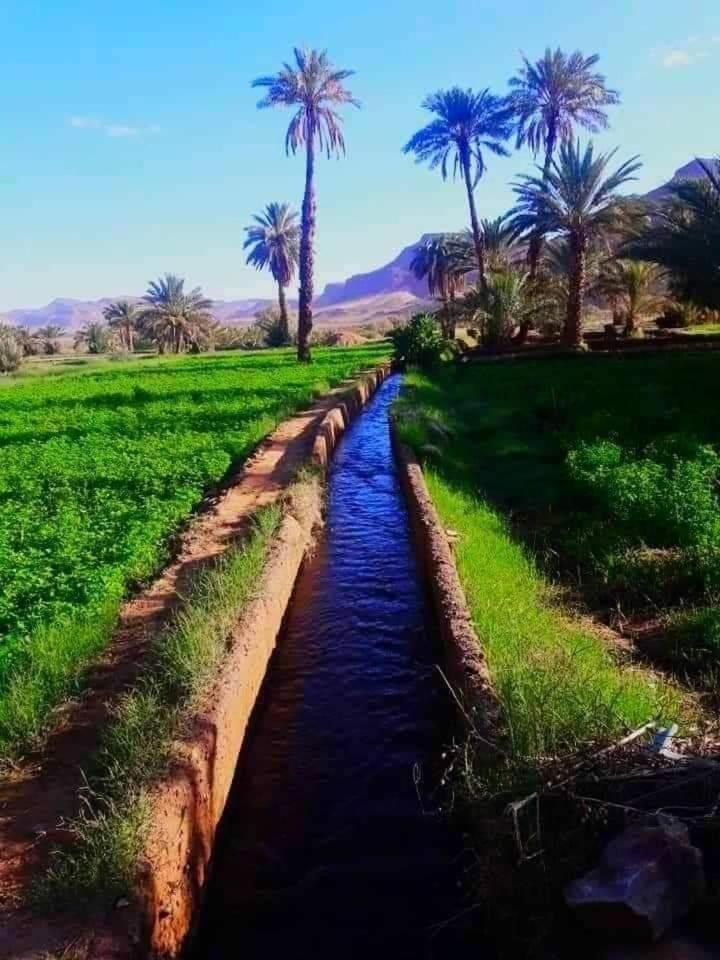 Defat Kasbah Hotel Ait Benhaddou Luaran gambar